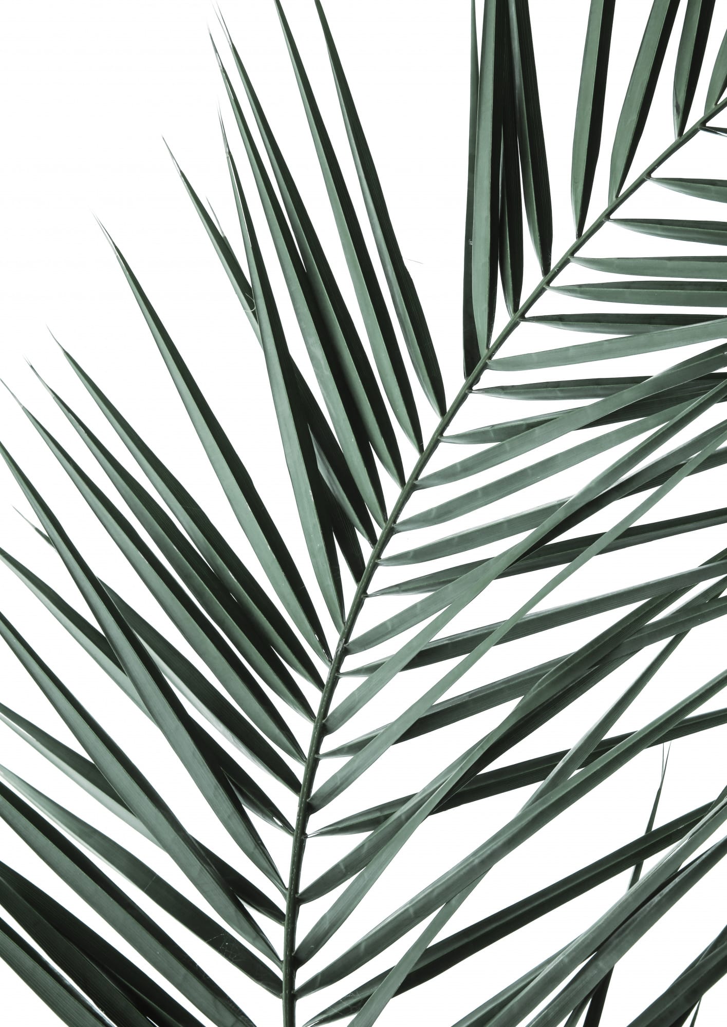 Motive Image