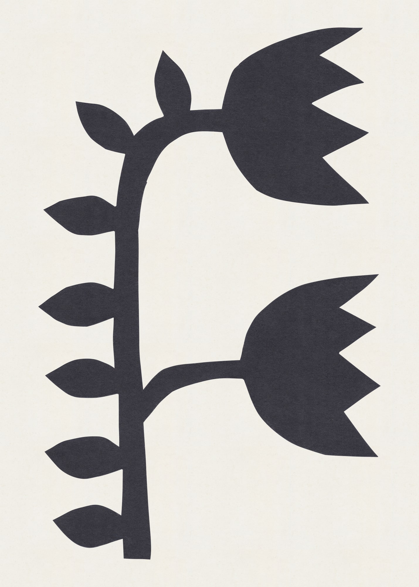Motive Image