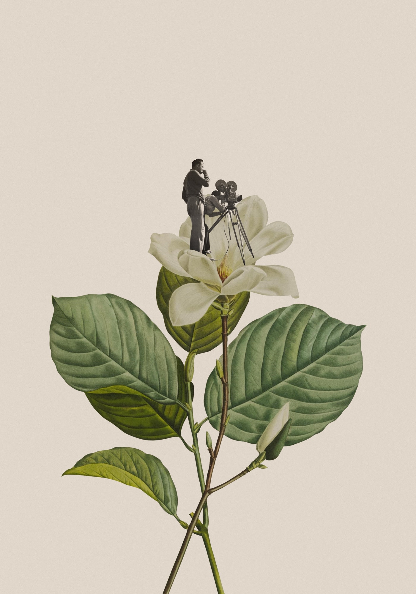 Motive Image
