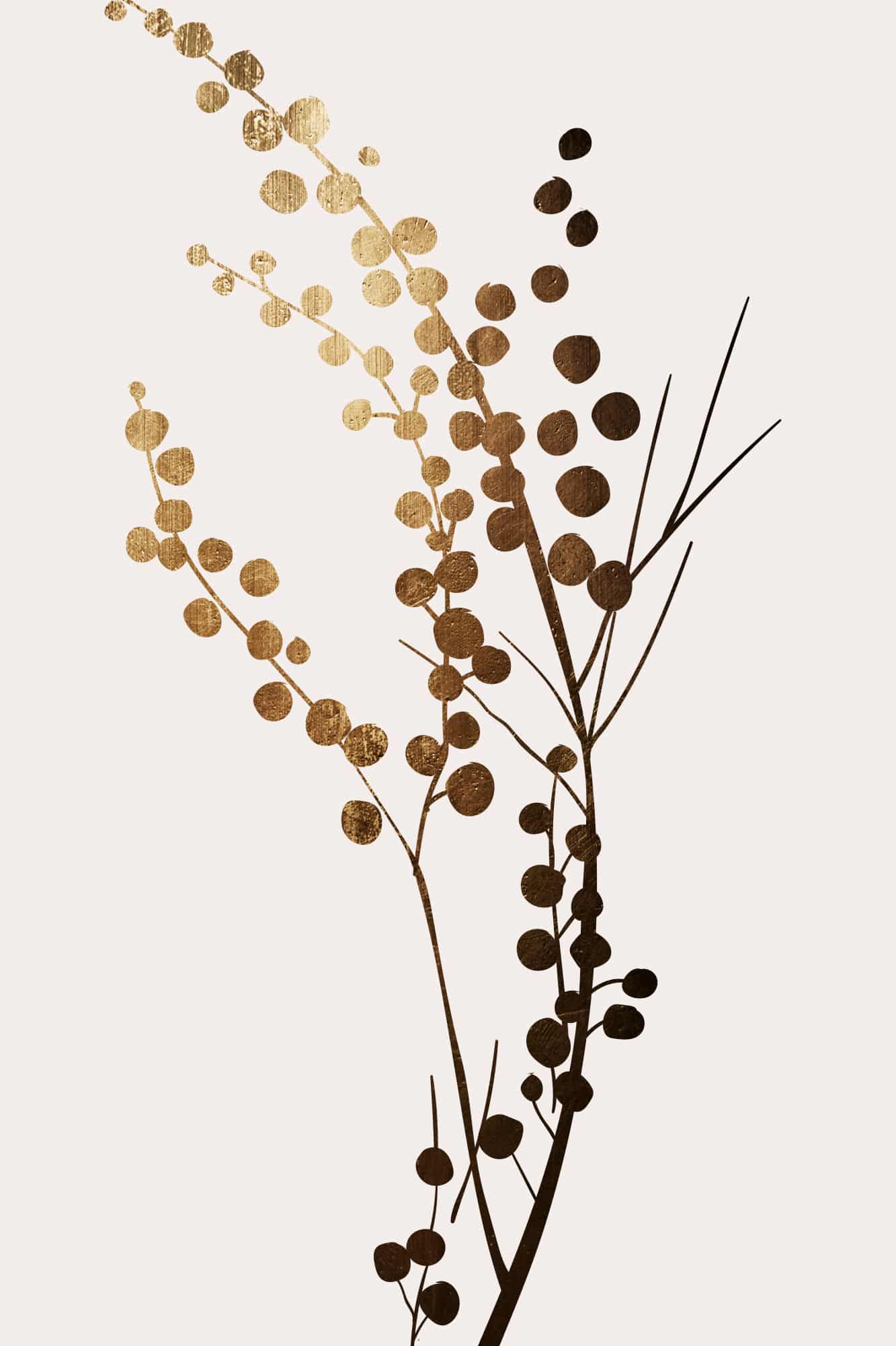 Motive Image