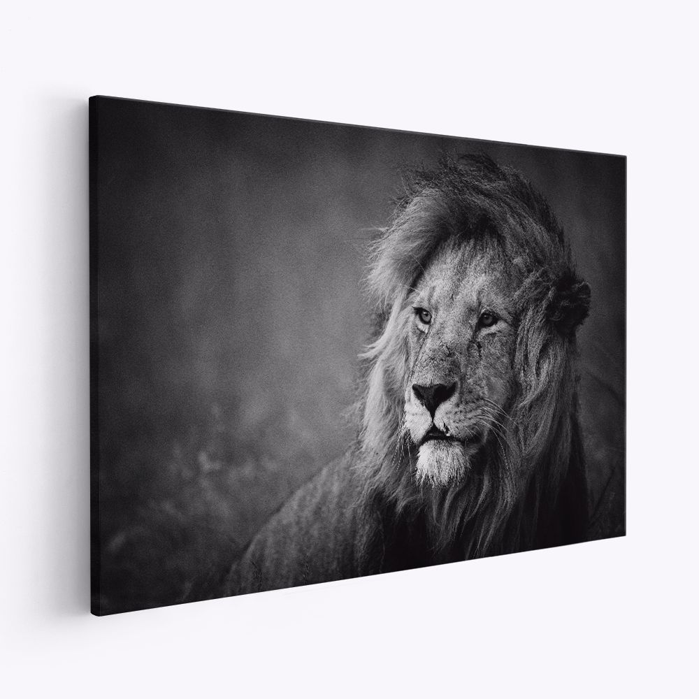 Canvas taulu - Regal