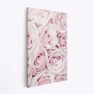 Canvas taulu - Pink Roses No 03