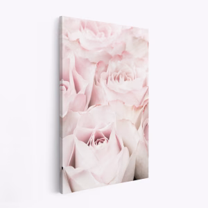 Canvas taulu - Pink Roses 05