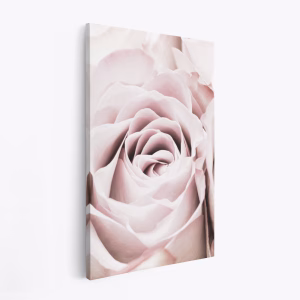 Canvas taulu - Pink Rose No 06
