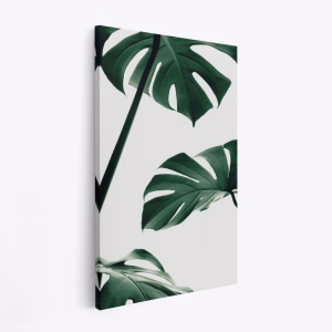 Canvas taulu - Monstera Natural 13