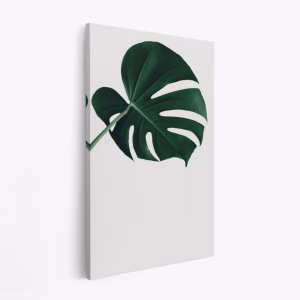 Canvas taulu - Monstera Natural 19