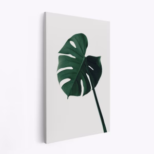 Canvas taulu - Monstera Natural 07