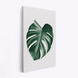 Canvas taulu - Monstera Natural 23