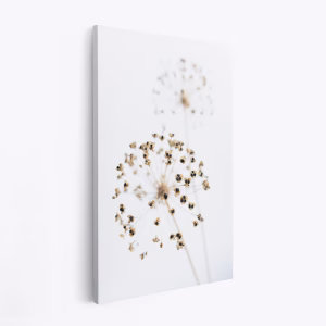 Canvas taulu - Dried Flower 2