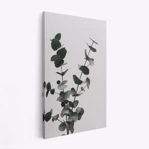 Canvas taulu - Eucalyptus Natural 04