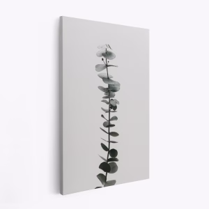 Canvas taulu - Eucalyptus Natural 02