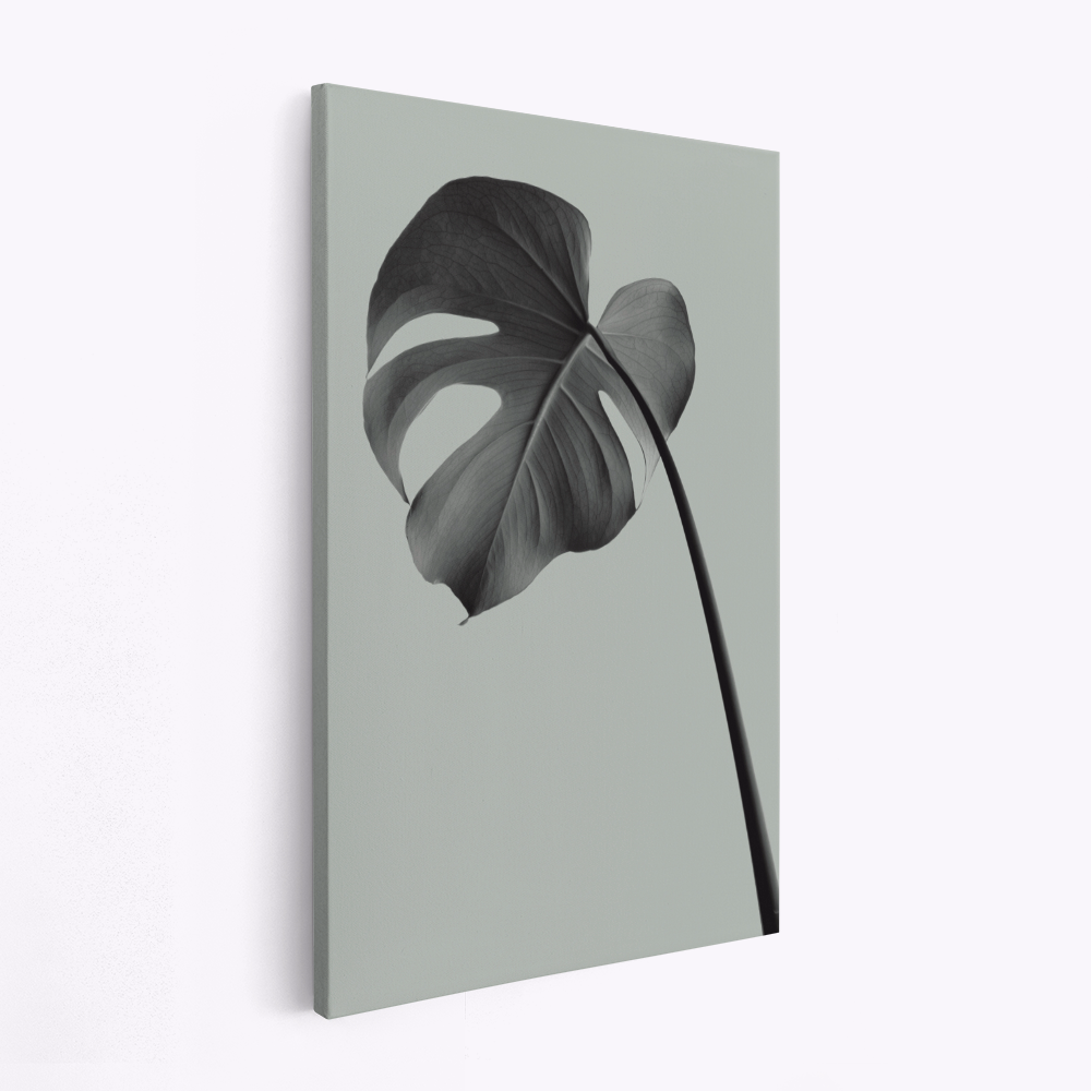 Canvas taulu - Monstera Teal 02
