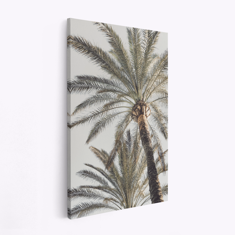 Canvas taulu - Palm 05