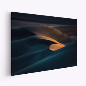 Canvas taulu - Heart of desert