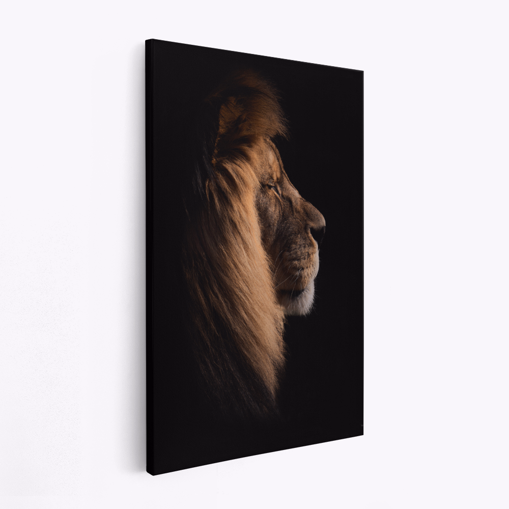 Canvas taulu - Sleeping King