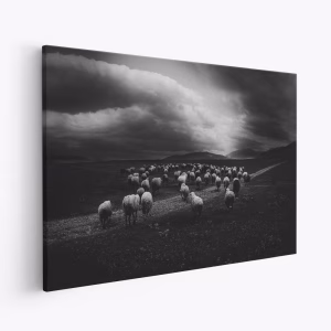 Canvas taulu - Storm's Advance