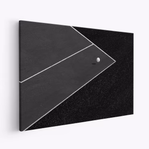 Canvas taulu - The minimal shot