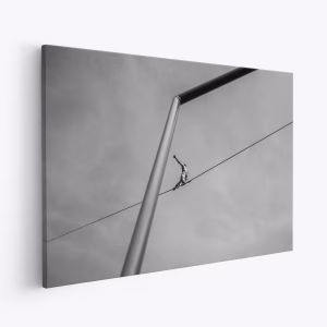 Canvas taulu - The acrobat