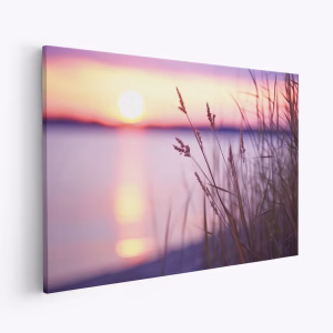 Canvas taulu - Purple Sunset