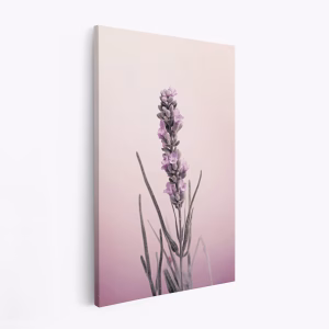 Canvas taulu - Pastel Lavender