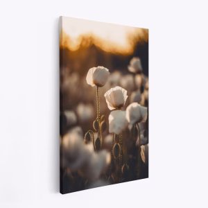 Canvas taulu - White Poppy Field No 2