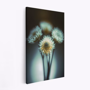 Canvas taulu - Low Light