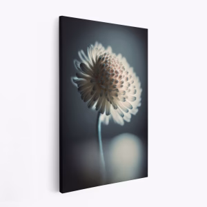 Canvas taulu - Pastel Beauty