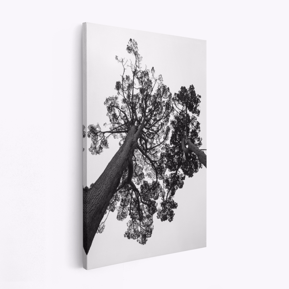 Canvas taulu - Japanese Garden 02