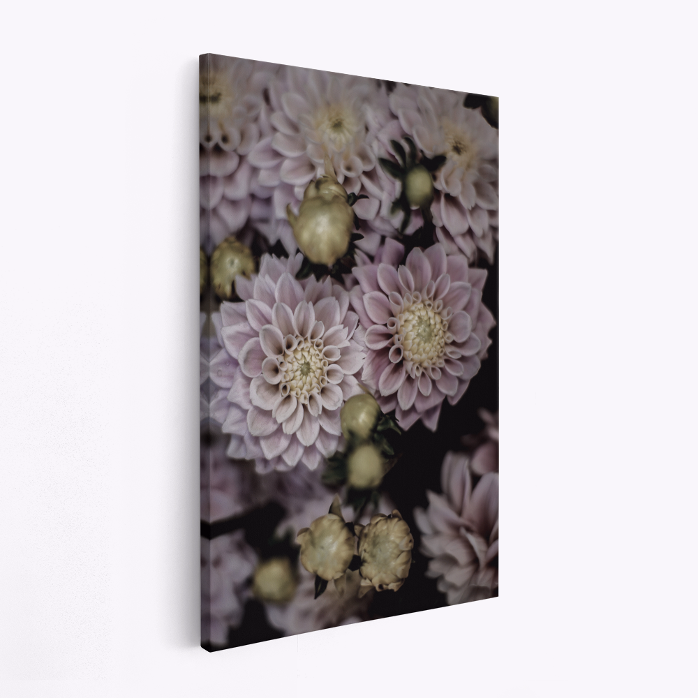 Canvas taulu - Lilium