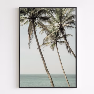 Juliste - Ocean Breeze Palms