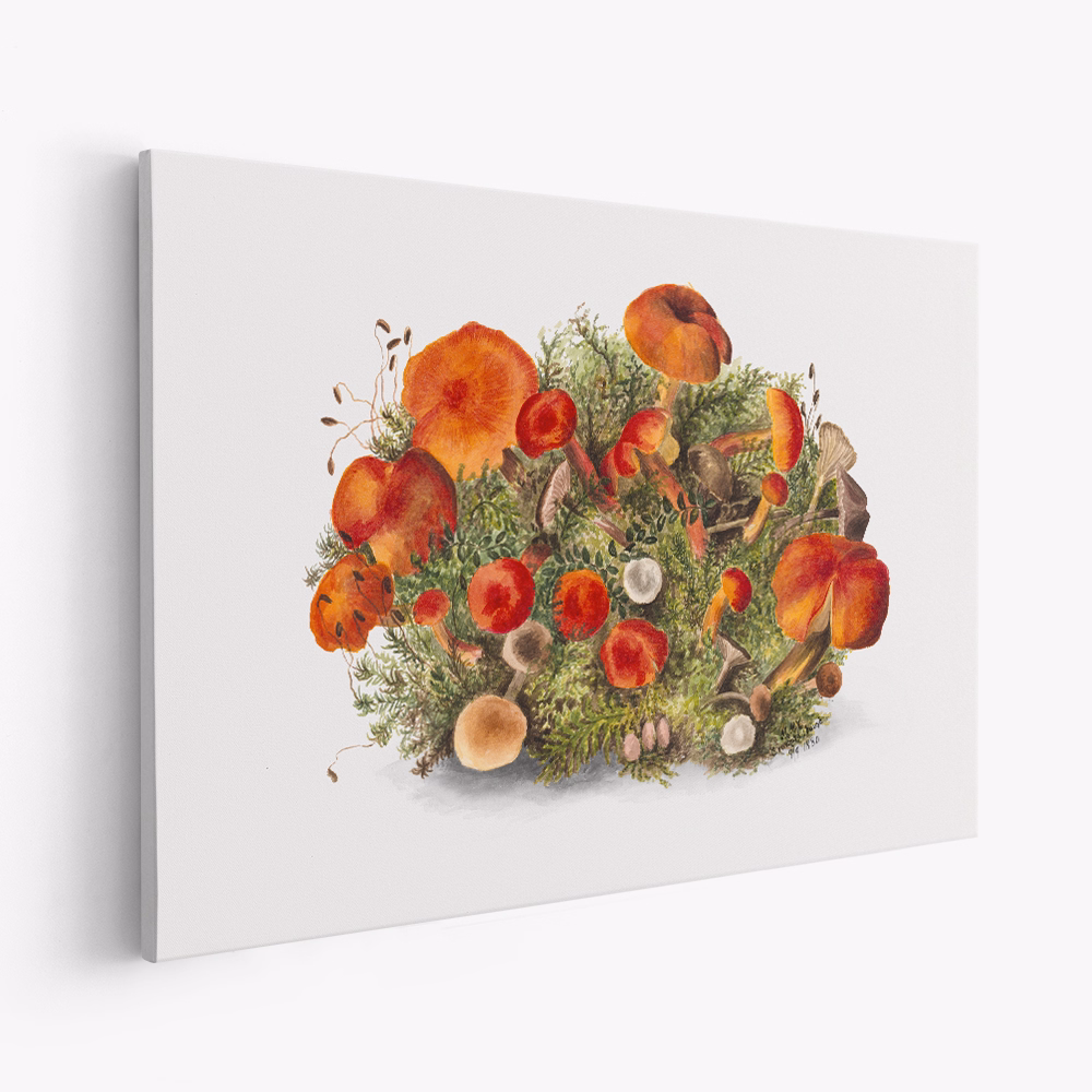 Canvas taulu - Study of Mushrooms (1880) Horizontal