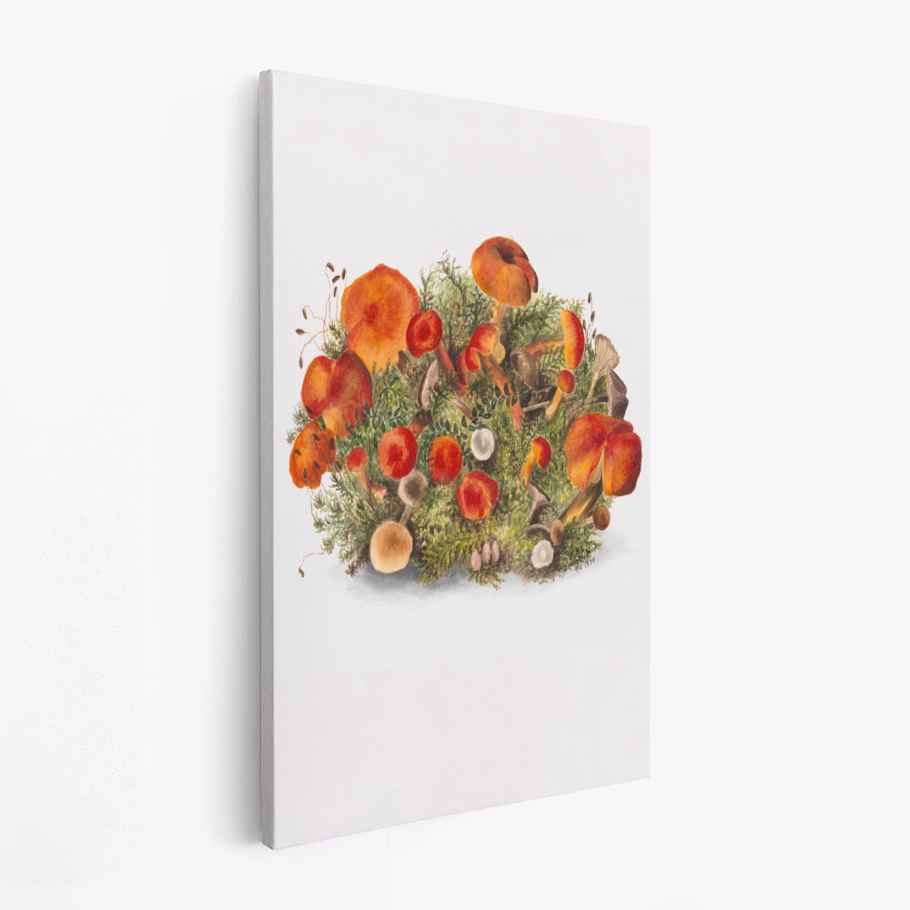 Canvas taulu - Study of Mushrooms (1880) Portrait Mode