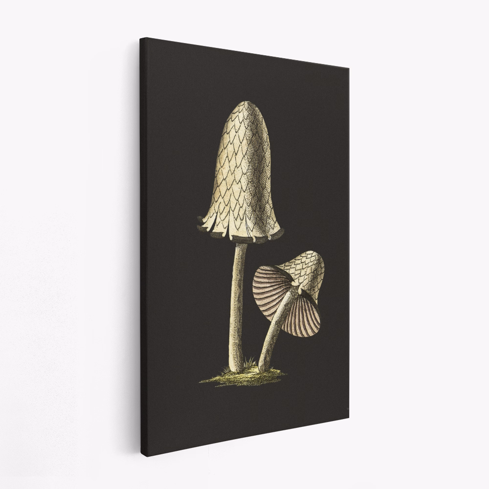 Canvas taulu - Vintage Inky Cap Edible Mushroom Black Background