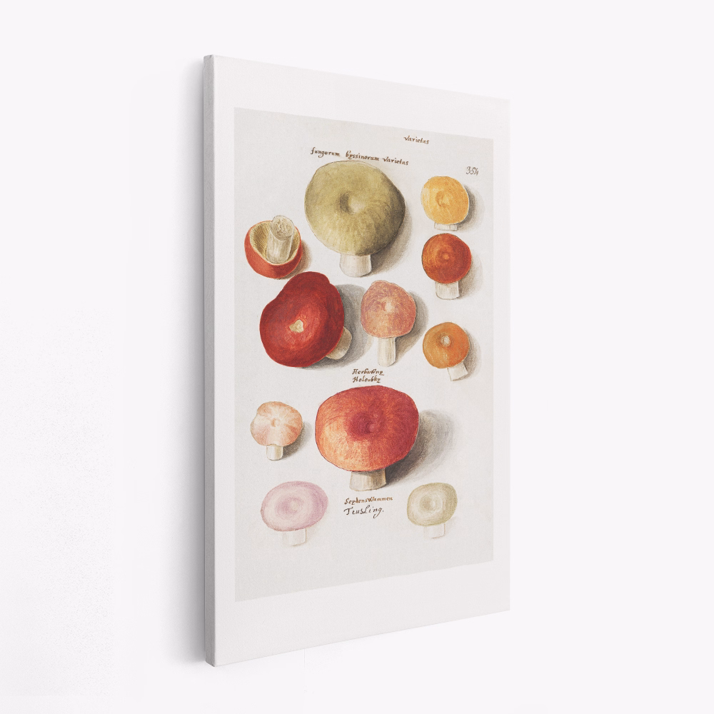 Canvas taulu - Boleten, Boletales Standing